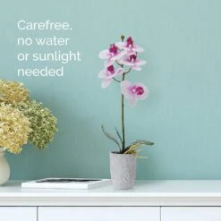 MIKASA 16 Inch Faux Orchid In Grey Pot, White And Fuchsia -Mikasa 16 inch faux orchid in grey pot white and fuchsia 5291153 3