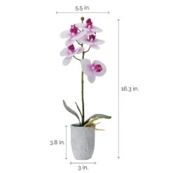MIKASA 16 Inch Faux Orchid In Grey Pot, White And Fuchsia -Mikasa 16 inch faux orchid in grey pot white and fuchsia 5291153 4
