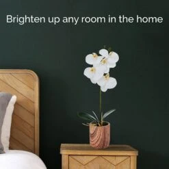 MIKASA 16 Inch Faux Orchid In Pot, Ivory -Mikasa 16 inch faux orchid in pot ivory 5293738 3