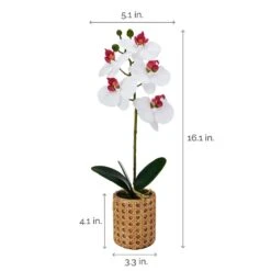 MIKASA 16 Inch Faux Orchid In Tan Pot, White And Pink -Mikasa 16 inch faux orchid in tan pot white and pink 5293732 4