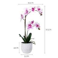 MIKASA 22 Inch Faux Orchid In White Leaf Pot, White And Fuchsia 7 MIKASA 22 Inch Faux Orchid In White Leaf Pot, White And Fuchsia -Mikasa 22 inch faux orchid in white leaf pot white and fuchsia 5291140 4
