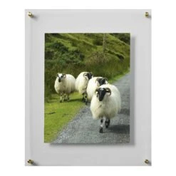 MIKASA Acrylic And Gold 16 X 20 Floating Wall Frame, 11 X 14 Photo