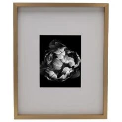 MIKASA Champagne 16 X 20 Gallery Frame, Matted To 8 X 10 -Mikasa champagne matted gallery frame 8 x 10 5249778 4